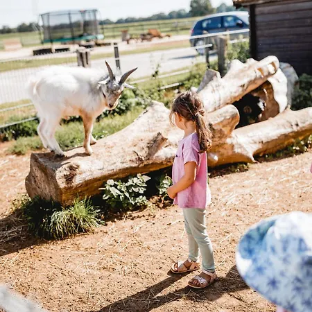 Huxfeld-hof - Tiny-house Mooritz 度假居 Grasberg